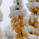 KOE_ostern2012 1.jpg