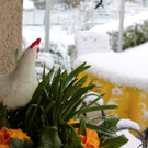 KOE_ostern2012 2.jpg