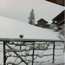 krumbach2.jpg