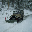 S8003473.jpg