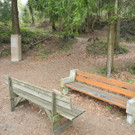 DSCN2163_JPG-1333881412