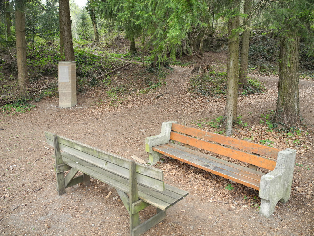 DSCN2163_JPG-1333881412