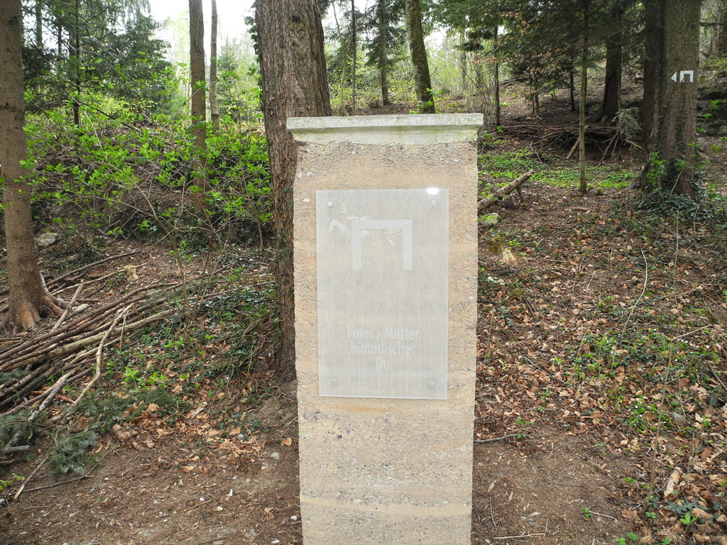 DSCN2164_JPG-1333881442