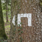 DSCN2166_JPG-1333881493