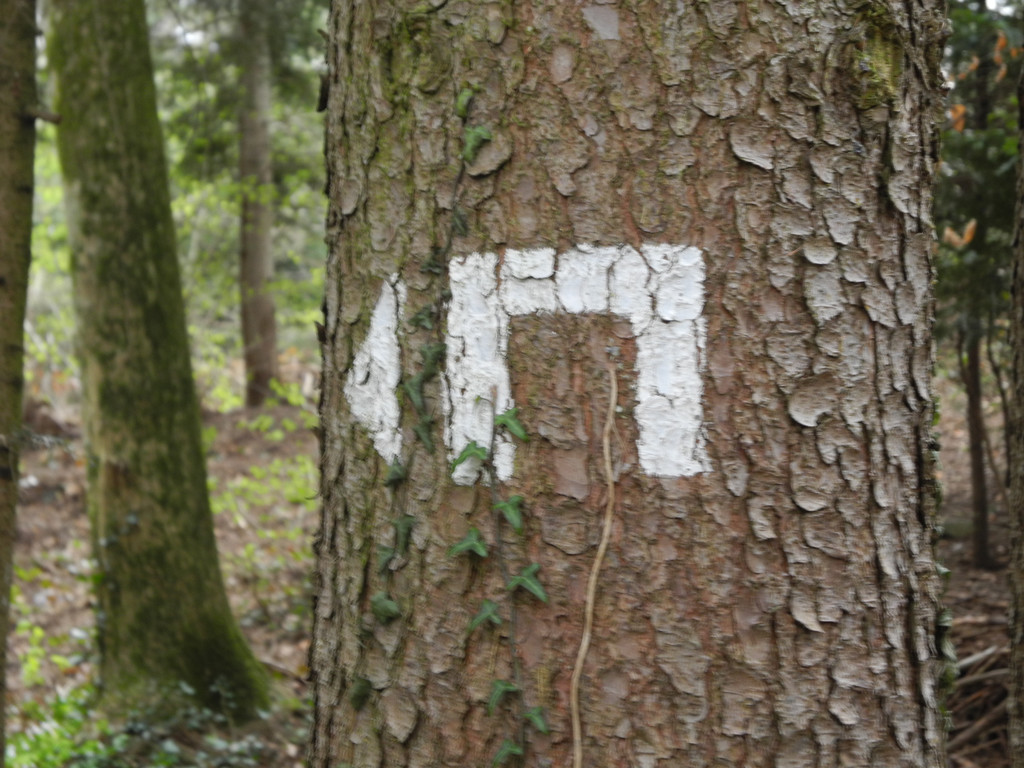 DSCN2166_JPG-1333881493