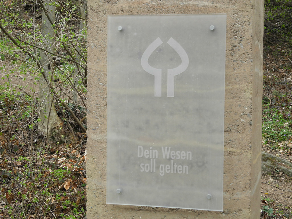 DSCN2168_JPG-1333881549