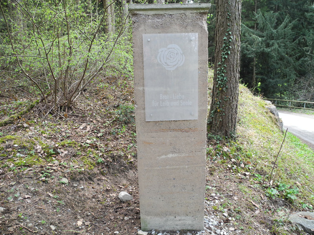 DSCN2250_JPG-1333881636