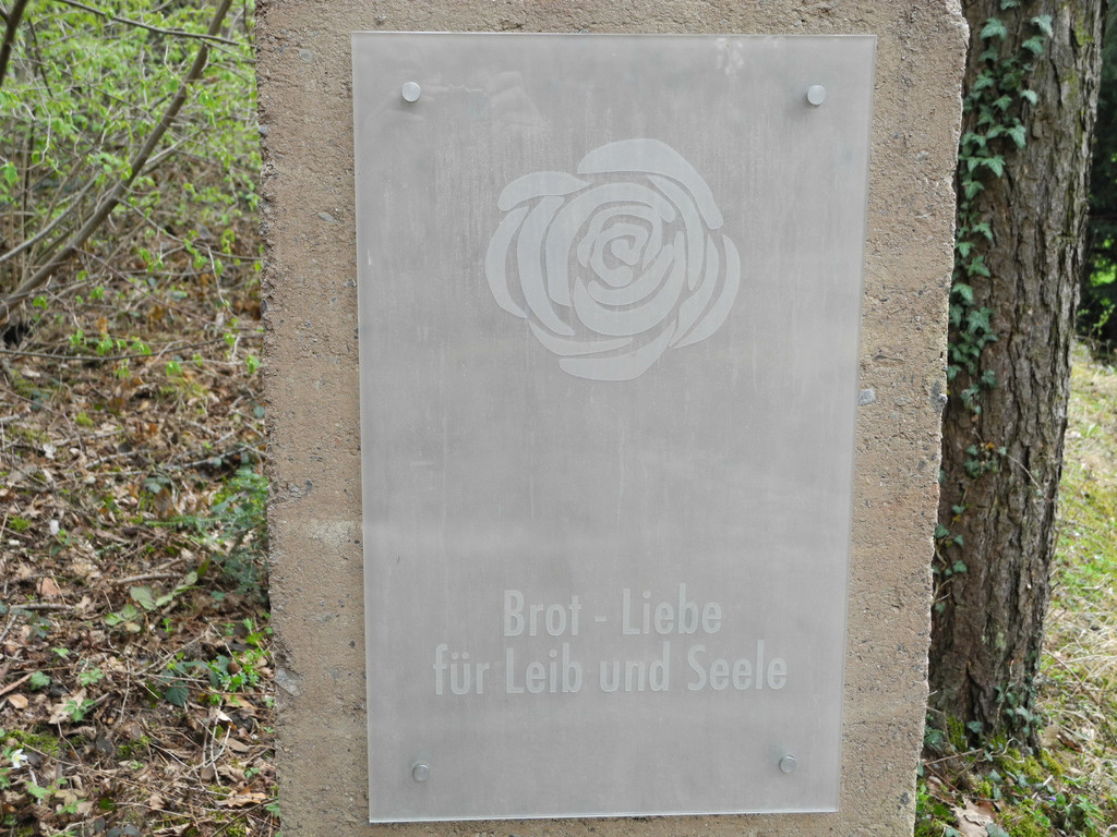 DSCN2251_JPG-1333881658