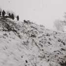 _F5M0495.JPG