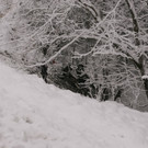 _F5M0476.JPG