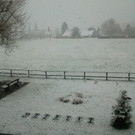 Bilder VOL.AT-User: Schnee am Ostersonntag im Rheintal Teil zwei