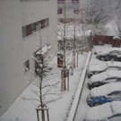 DSCN9538.jpg