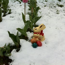 Foto.JPG