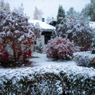 Der erste Schneefall.jpg