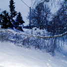 DSC03556.JPG