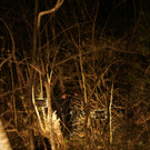_F5M0515.JPG