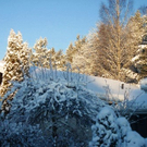 Klirrender Frost.jpg