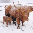 Ostern2012 171_JPG-1333956013
