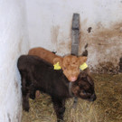 Ostern2012 247.JPG