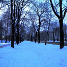 Prater _4_.JPG