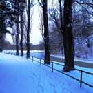 Prater _5_.JPG