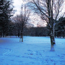 Prater _6_.JPG