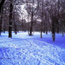 Prater.JPG