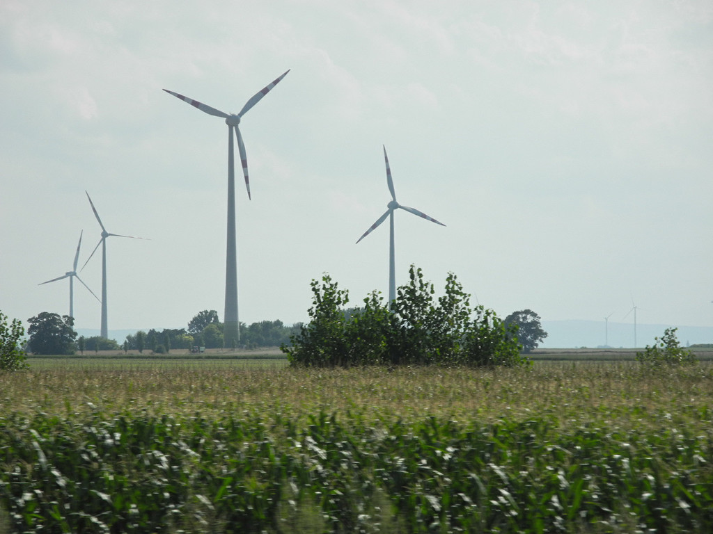 Wind 6_JPG-1333972316