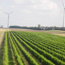 Wind 8_JPG-1333972356