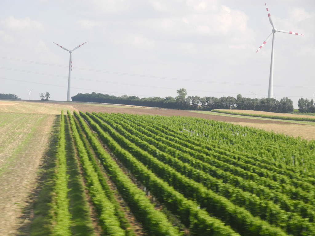 Wind 8_JPG-1333972356