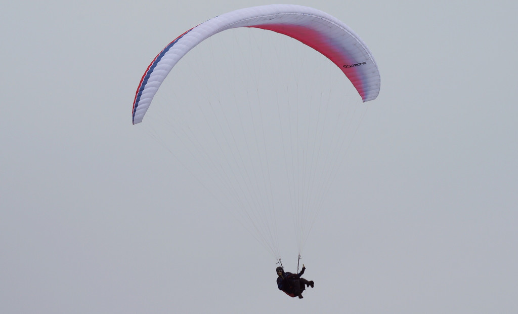DSC00990_JPG-1333976664