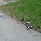 20120409_141911.jpg