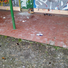 20120409_141941.jpg