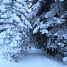 DSCN7873.JPG