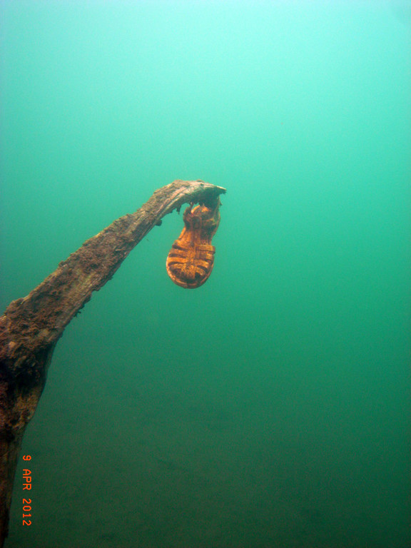 M0014021.JPG