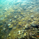 M0014078.JPG