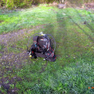 M0014009.JPG