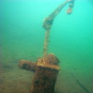 M0014019.JPG
