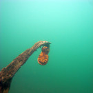 M0014021.JPG