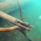 M0014025.JPG