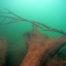 M0014027.JPG