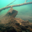 M0014029.JPG