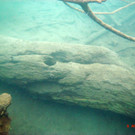 M0014030.JPG