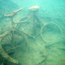 M0014031.JPG