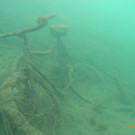 M0014034.JPG
