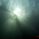 M0014047.JPG
