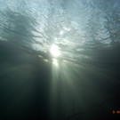 M0014048.JPG