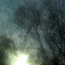 M0014051.JPG