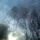 M0014052.JPG