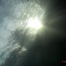 M0014054.JPG